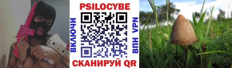 наркота  darknet формула  Псилоцибиновые грибы Cubensis  Белая Холуница 